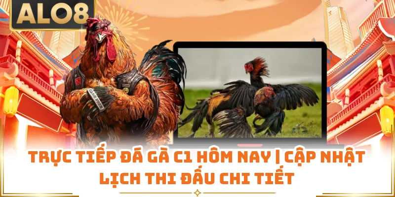 Trực Tiếp Đá Gà C1 Hôm Nay | Cập Nhật Lịch Thi Đấu Chi Tiết